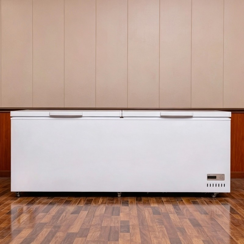 Gewerblicher Gefrierschrank mi – Commercial Chest Freezer Bewertung und Preis