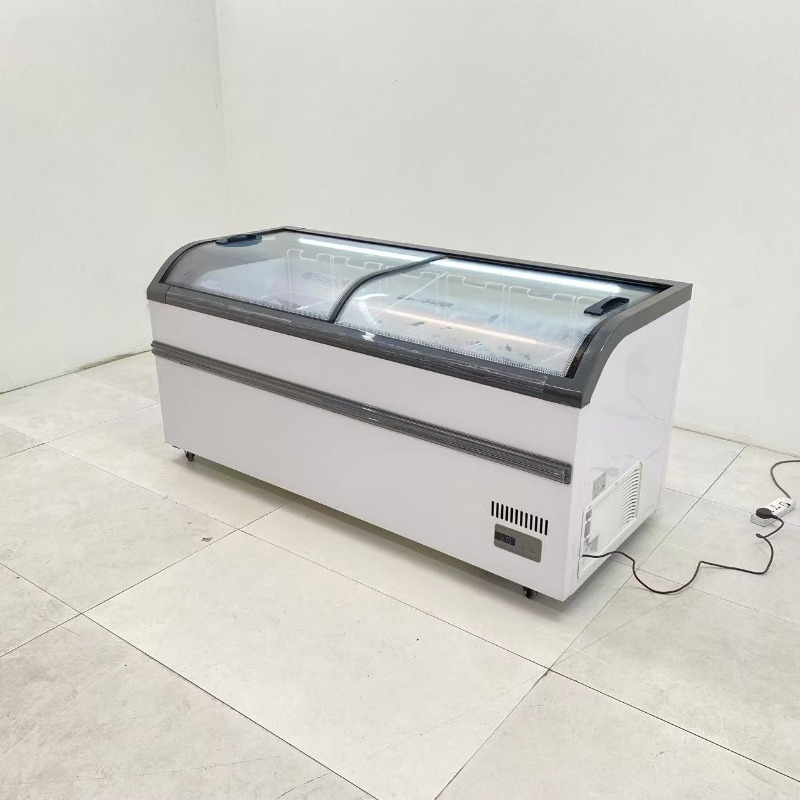Hochwertige Großhandels-Horizo – Commercial Chest Freezer Bewertung und Preis