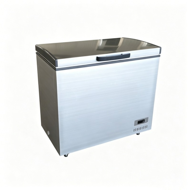 Große Kapazität -60 ° C Horizo – Commercial Chest Freezer Bewertung und Preis