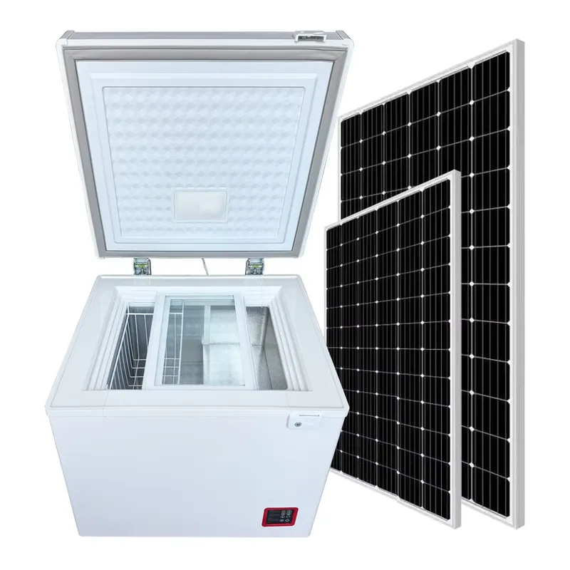 Hochwertige 68L Horizontale So – Commercial Chest Freezer Bewertung und Preis